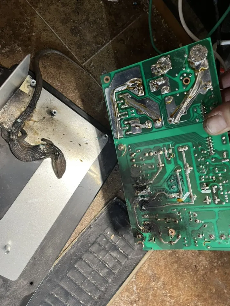 Slide of Applegate Electric