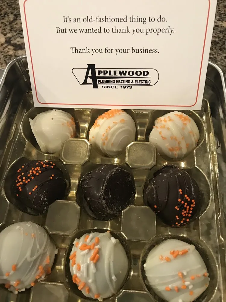 Affordable electrician providing panel upgrade in , 