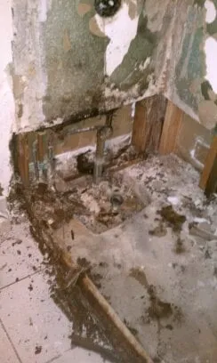 Expert electrician providing wiring installation in San Deigo, CA - Araiza Handyman Service & Repair