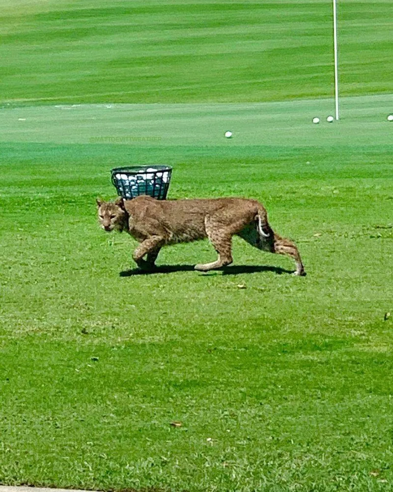 Slide of A.R.Asselin & Company
