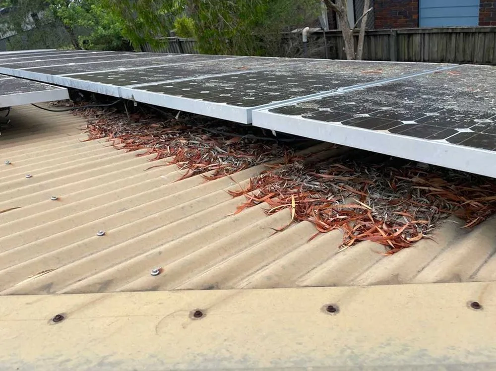 Slide of Arbor Lodge Electric