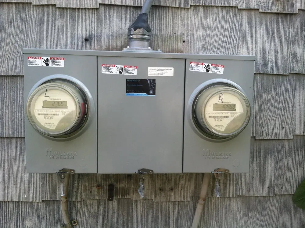 Slide of Arbustini Electric