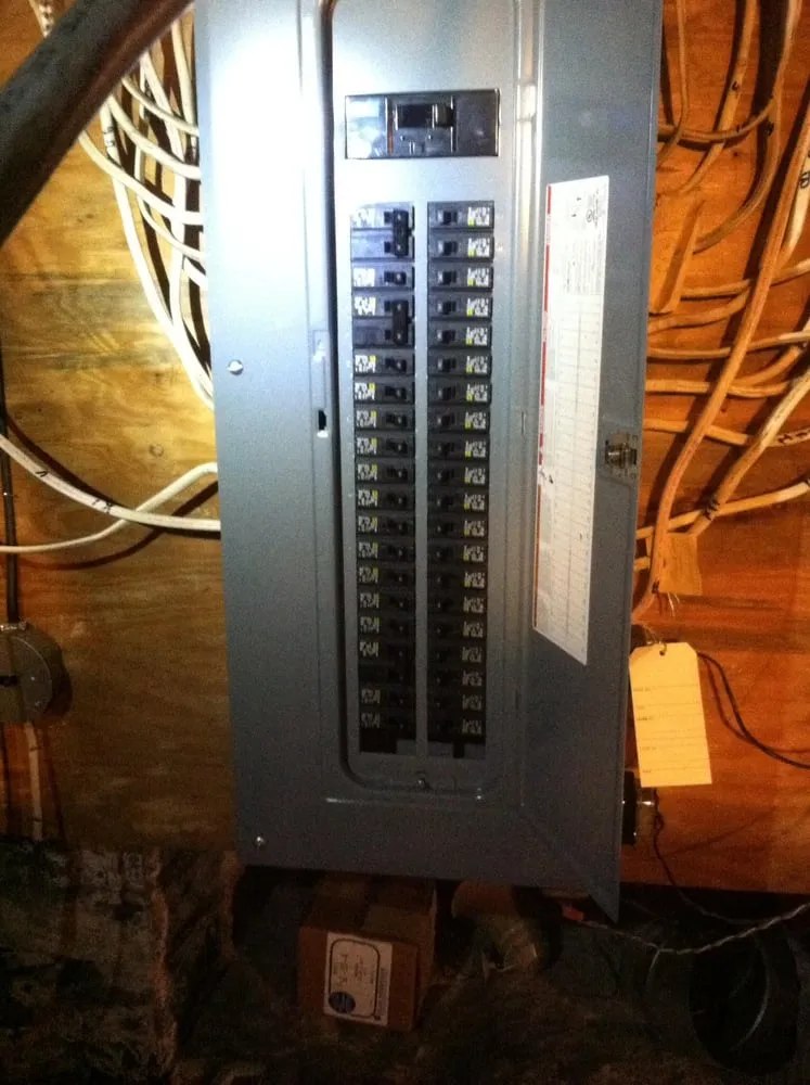 Slide of Arbustini Electric