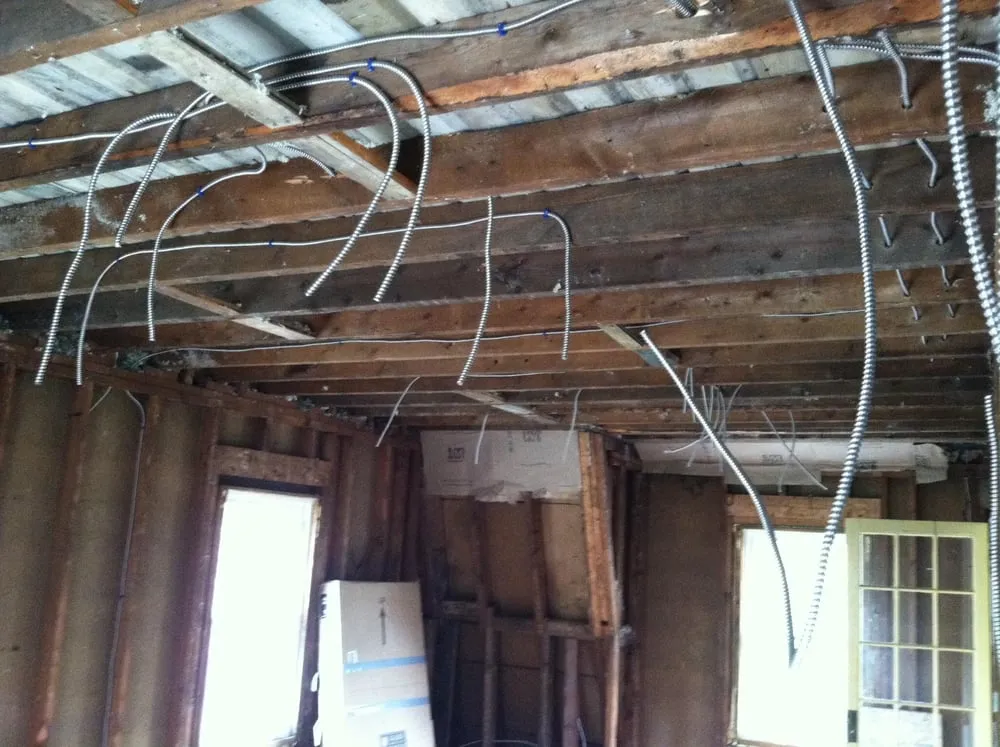 Slide of Arbustini Electric