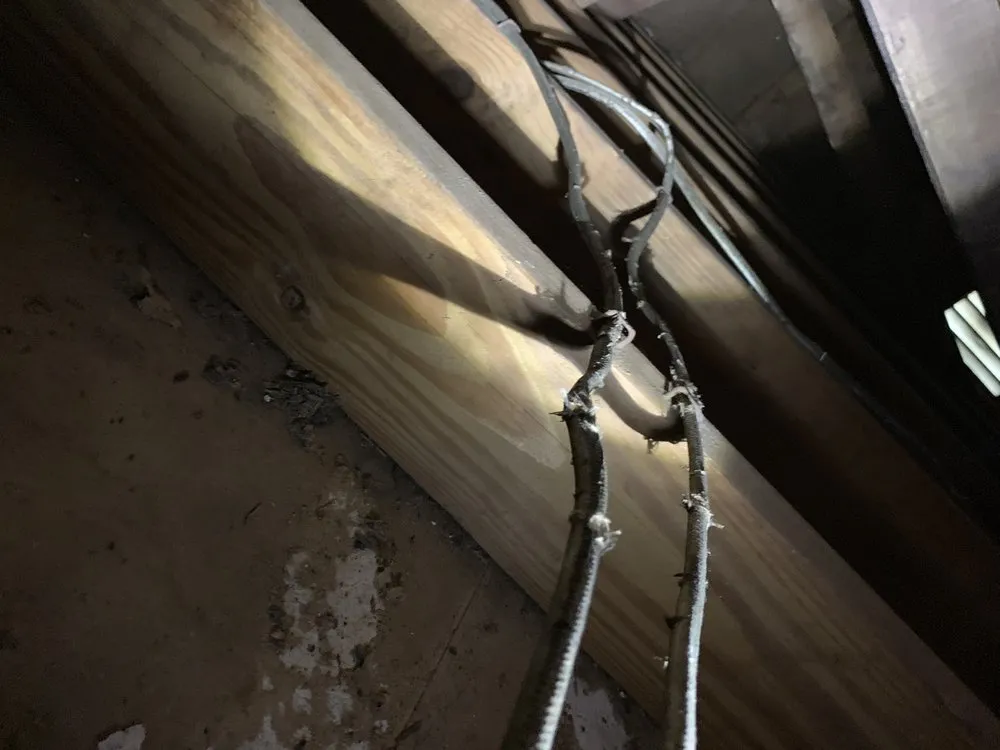 Slide of Arc Detectives