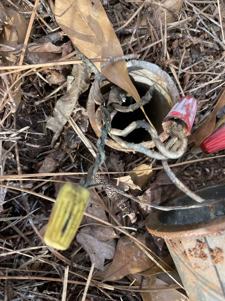 Slide of Arc Detectives