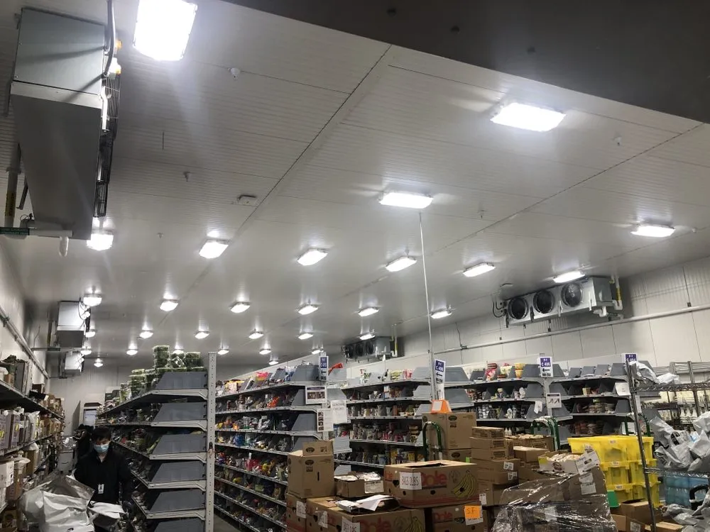 Certified electrician providing electrical repair in ,