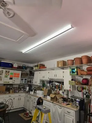 Arch City Electrical