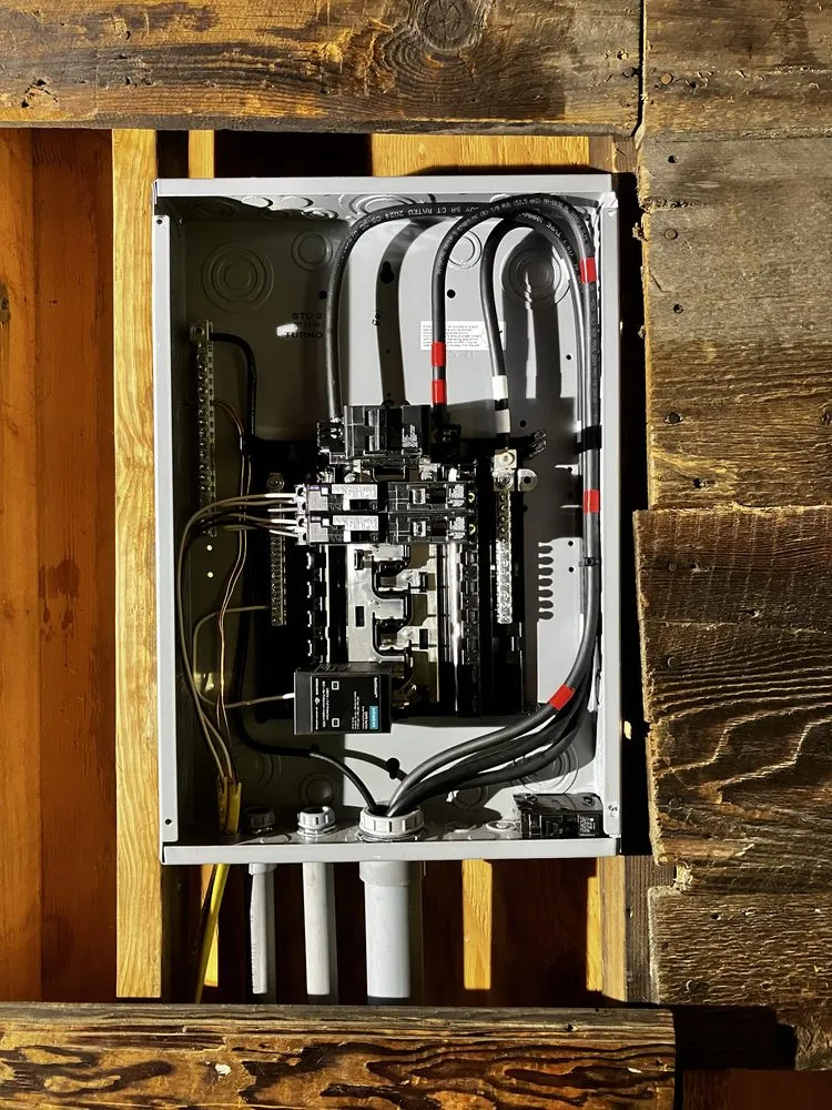 Slide of Argentum Electric