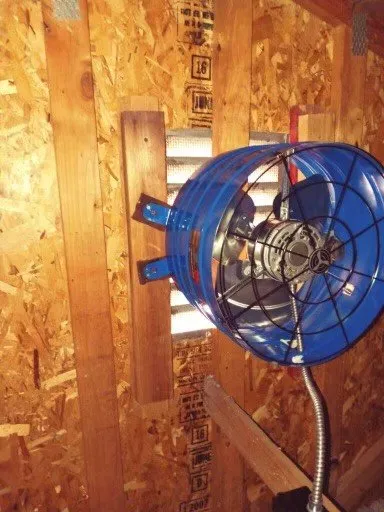 Slide of Arias F Electric