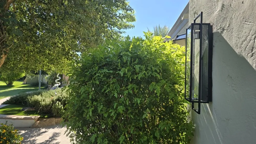 Slide of Arizona Discount Electric