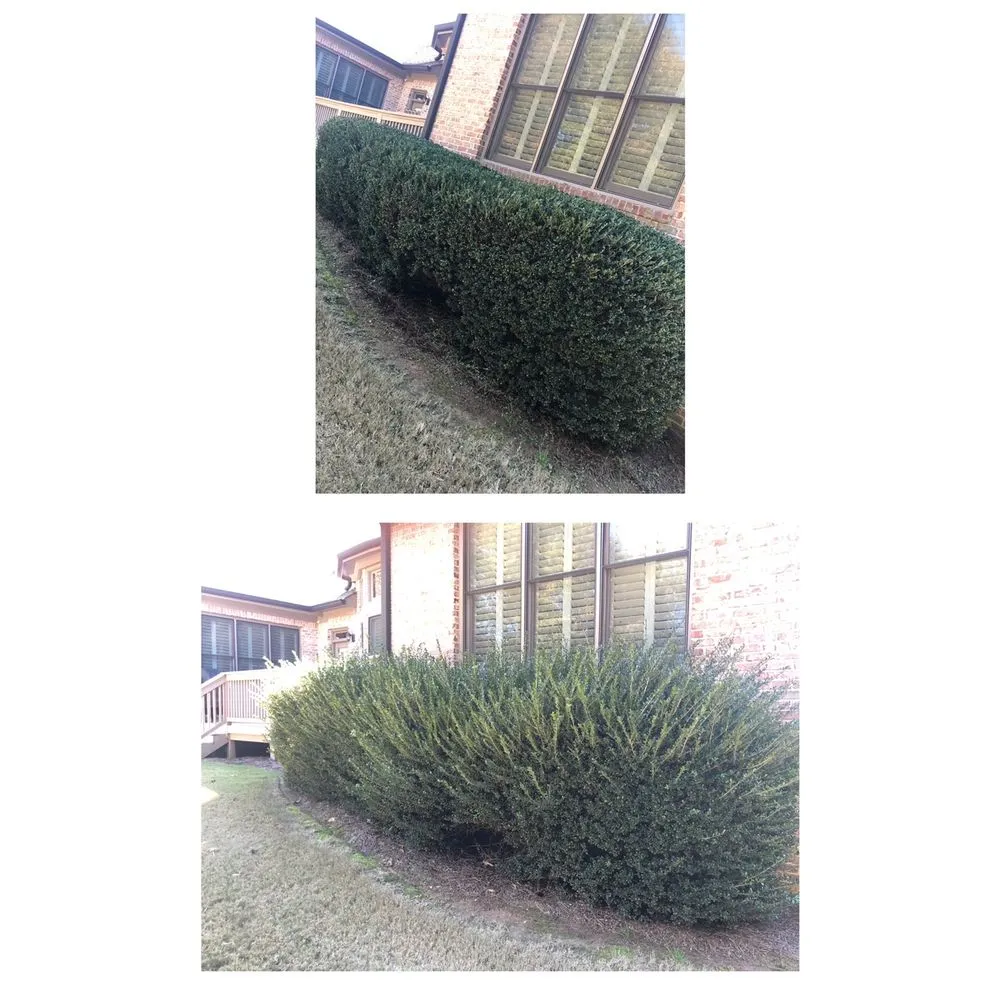 Slide of Arl Home Services