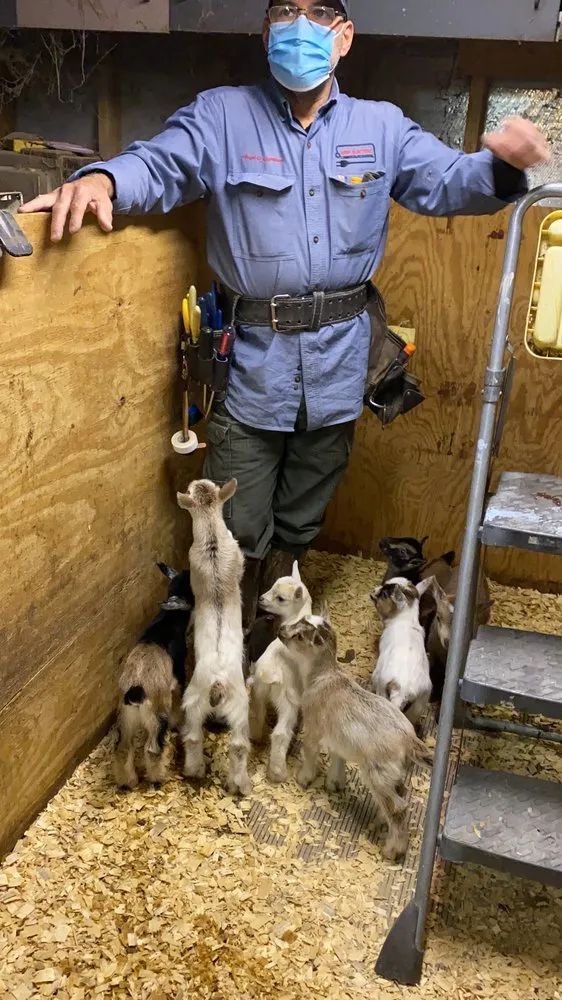 Slide of ARM Electric