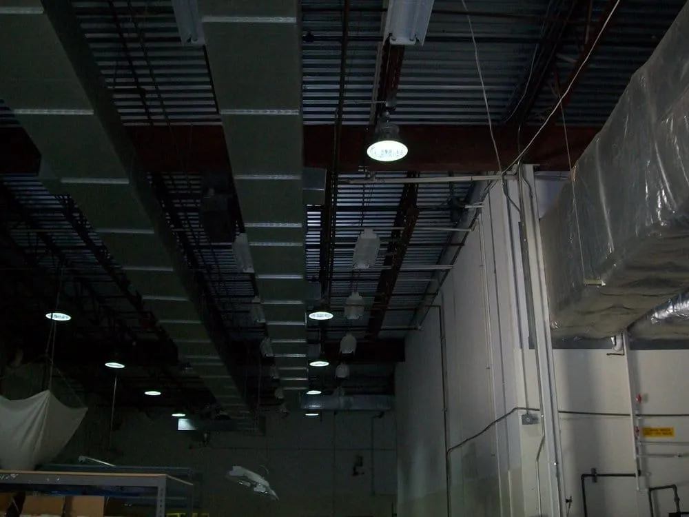 Slide of Armadillo Electrical Services