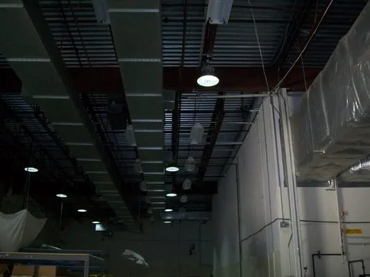 Armadillo Electrical Services Logo