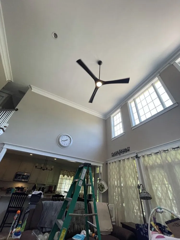 Slide of Armando Electric