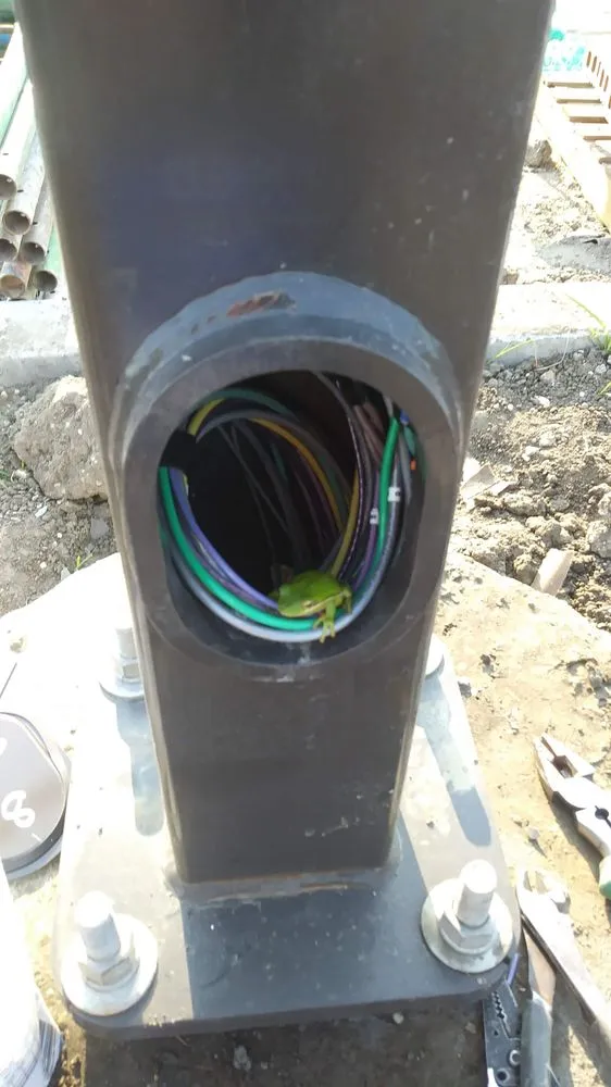 Licensed electrical service for homes in electrical repair, by