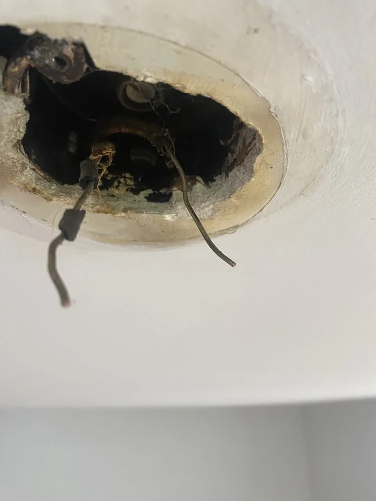 Slide of Arnie's Electric