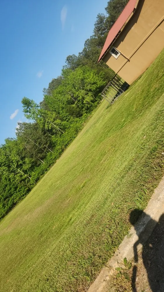 Slide of Arnold 1 Services