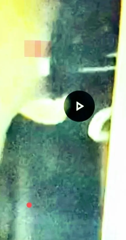 Slide of Arnold 1 Services