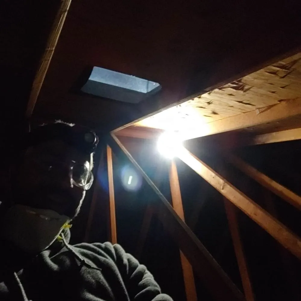 Slide of Arthur's A-Team Electric