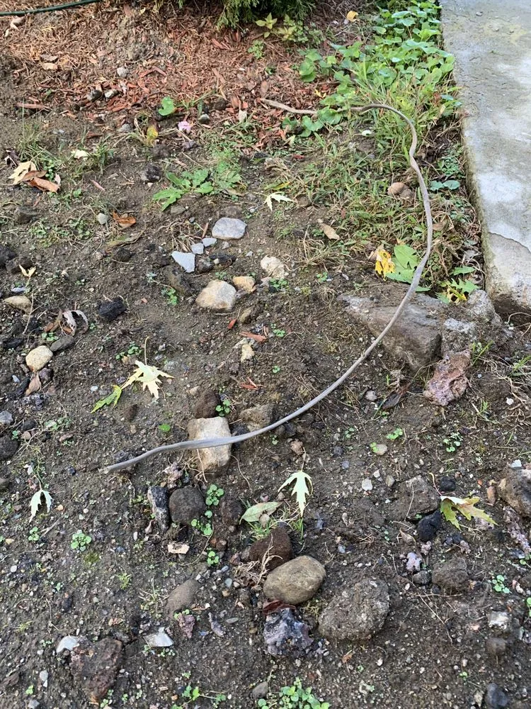 Slide of Arty Gendreau Electric