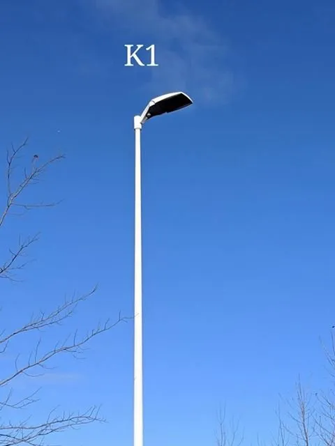 Slide of Arty Gendreau Electric