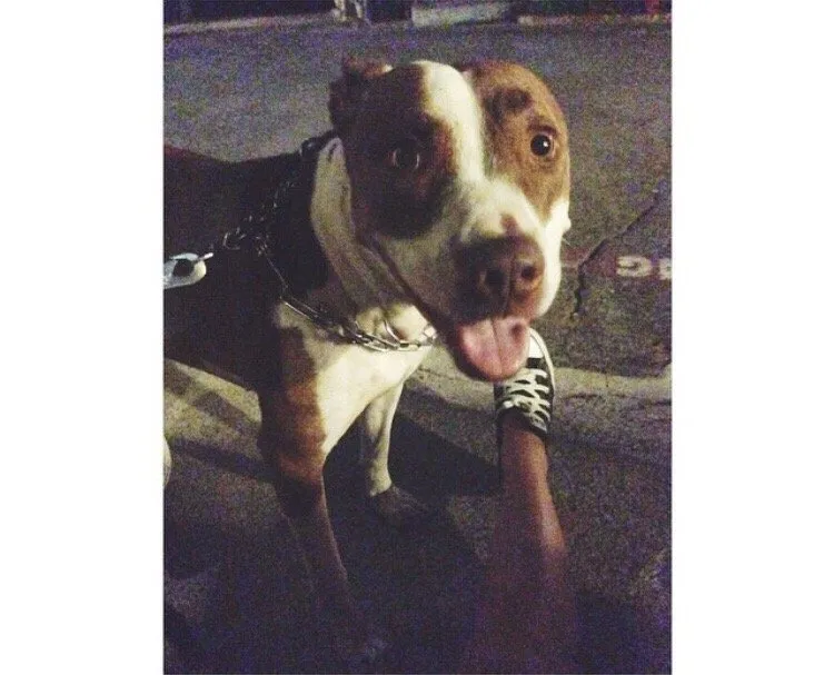 Slide of ASAP Electric