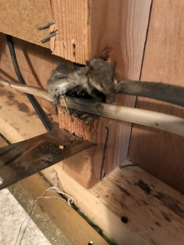 Slide of ASAP Electric