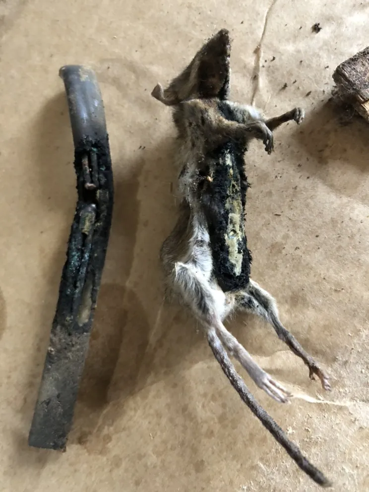 Slide of ASAP Electric