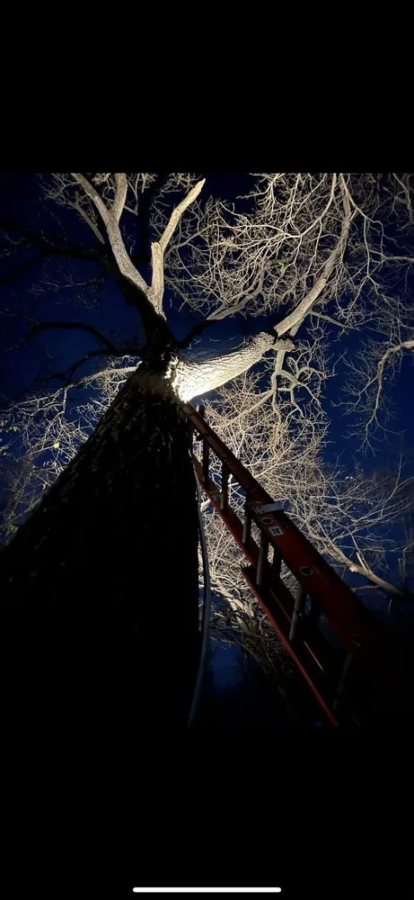 Slide of ASAP Electrical