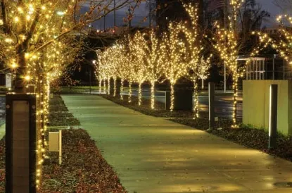 Slide of Aseer Electric