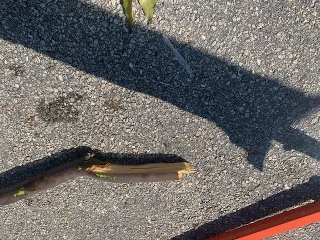 Slide of Asplundh Construction