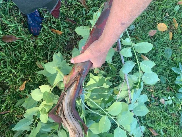 Slide of Asplundh Construction