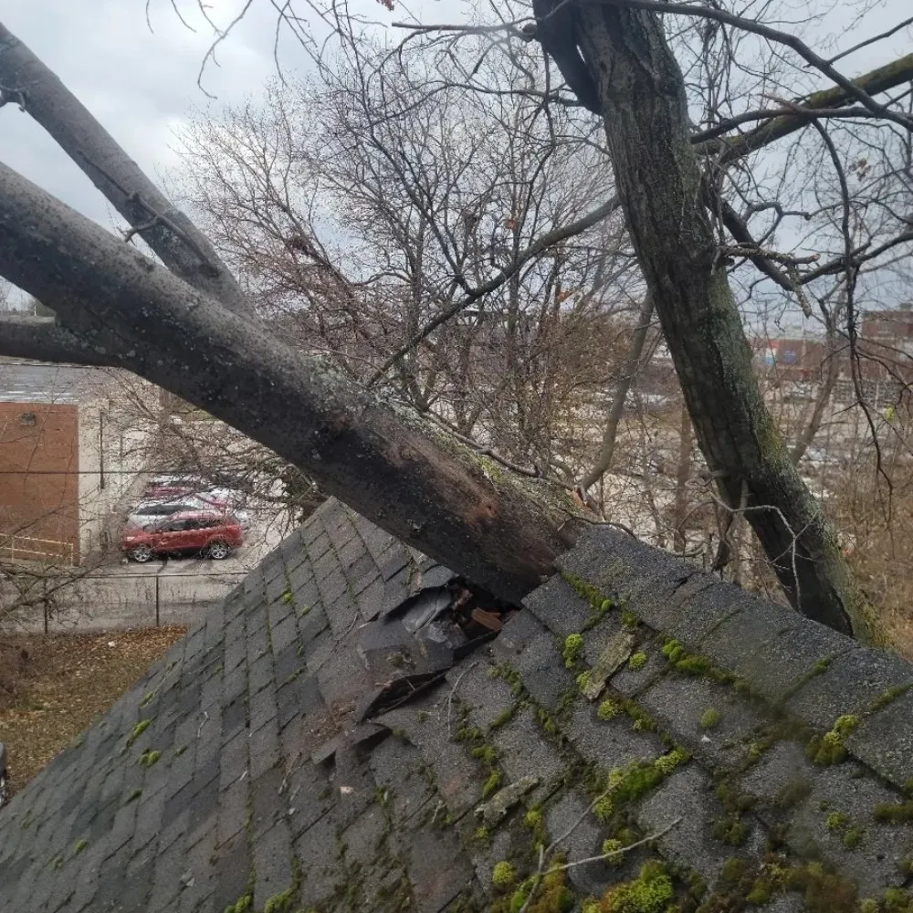 Slide of Assurance Factor Electric