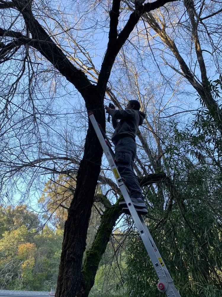 Slide of Astrofix Energy