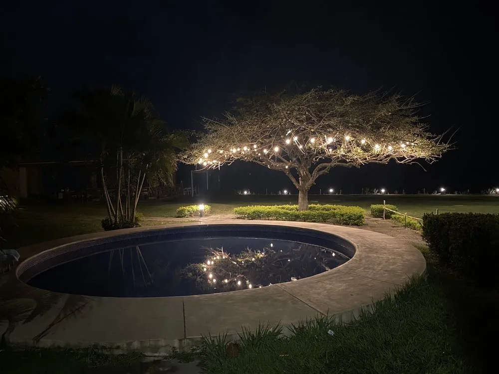 Slide of At your service electric