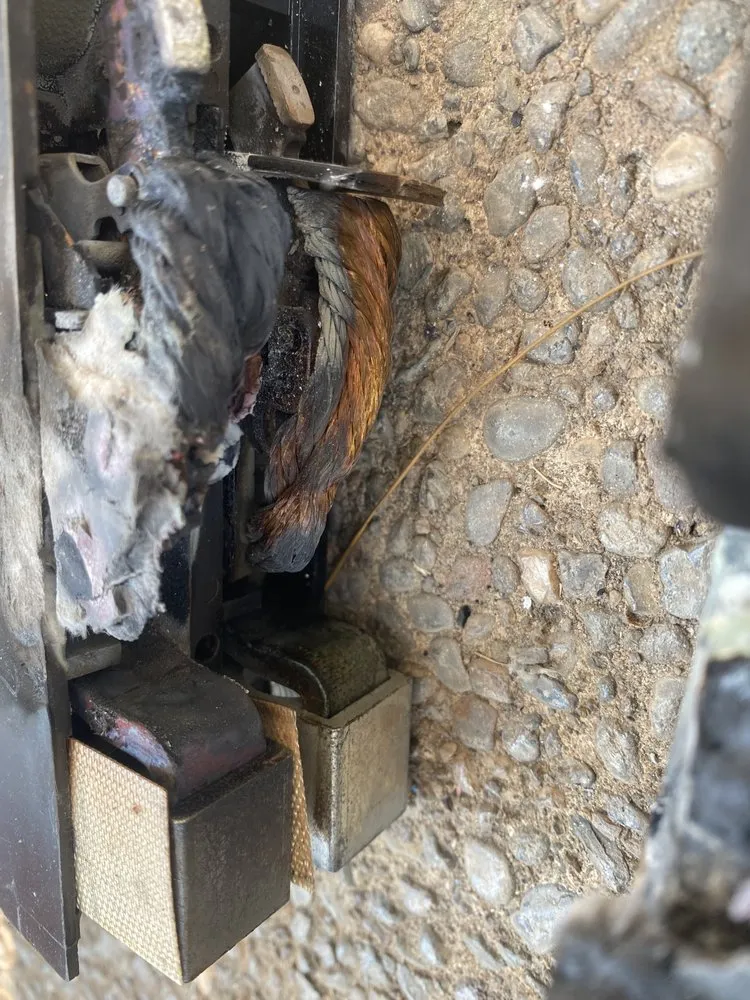 Certified electrician providing lighting installation in , 