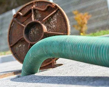 Slide of Atlantic Green