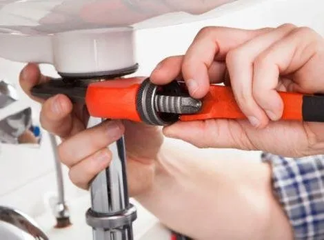 Slide of Atlantic Green