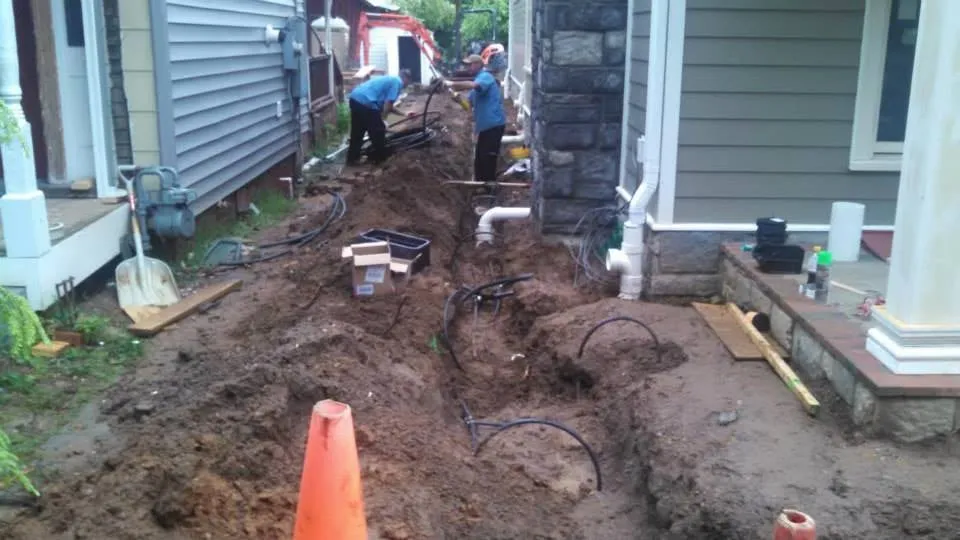 Slide of Atlantic Green