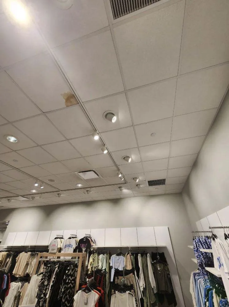 Expert outlet and switch repair experts serving ,  - Atom Electrical Services