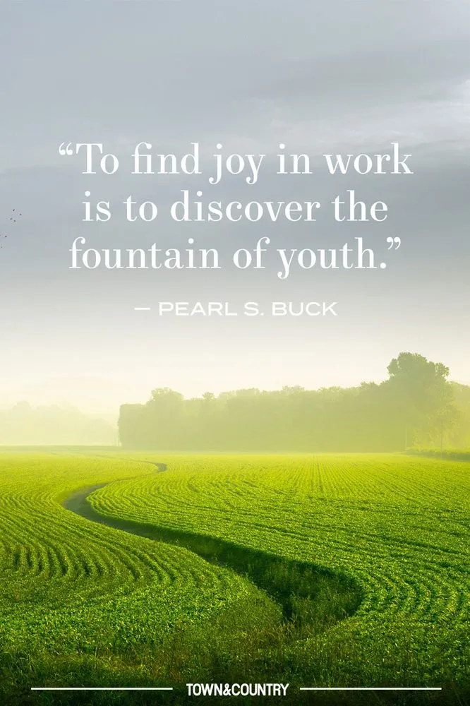 Slide of Atta Boy Services