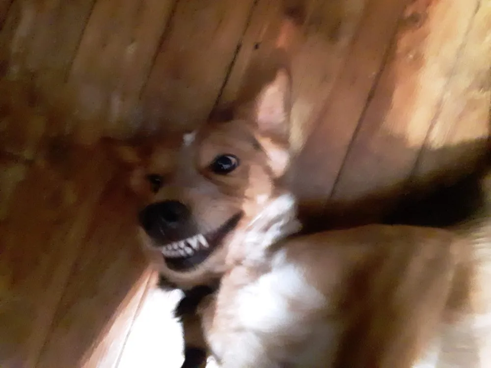 Slide of AU Electric