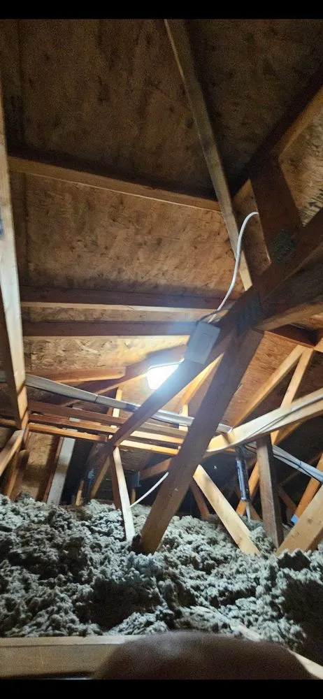 Slide of Auburn Electric