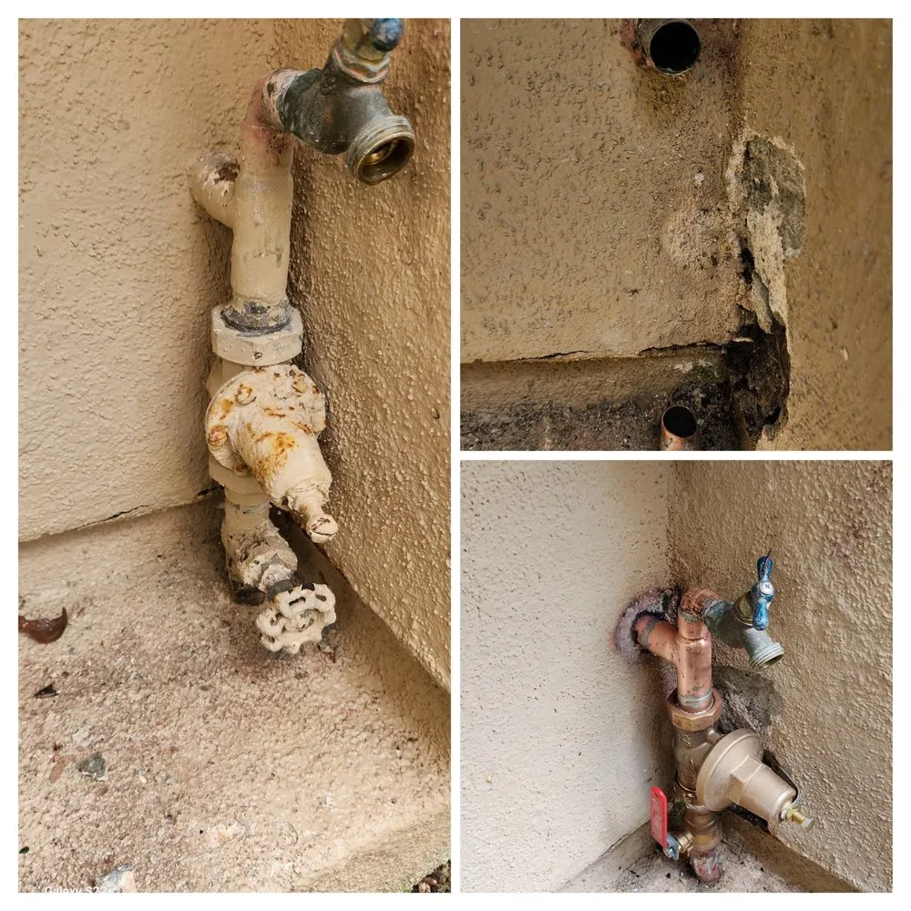 Slide of Aurelio Rojas