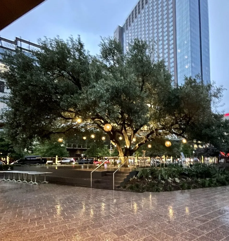 Slide of Aurora Landscape Lighting