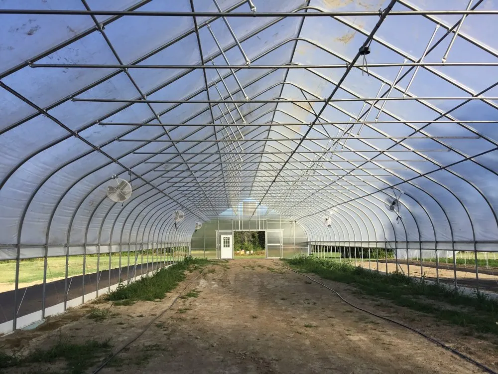 Slide of Austin’s Electric