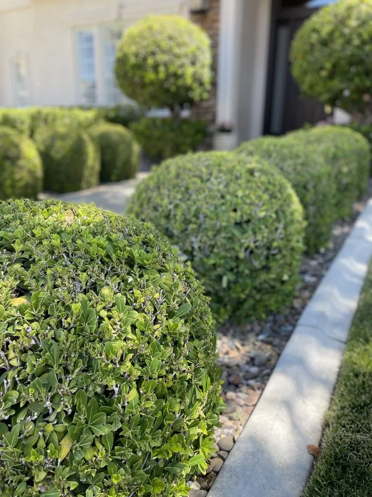 Slide of AV Landscape