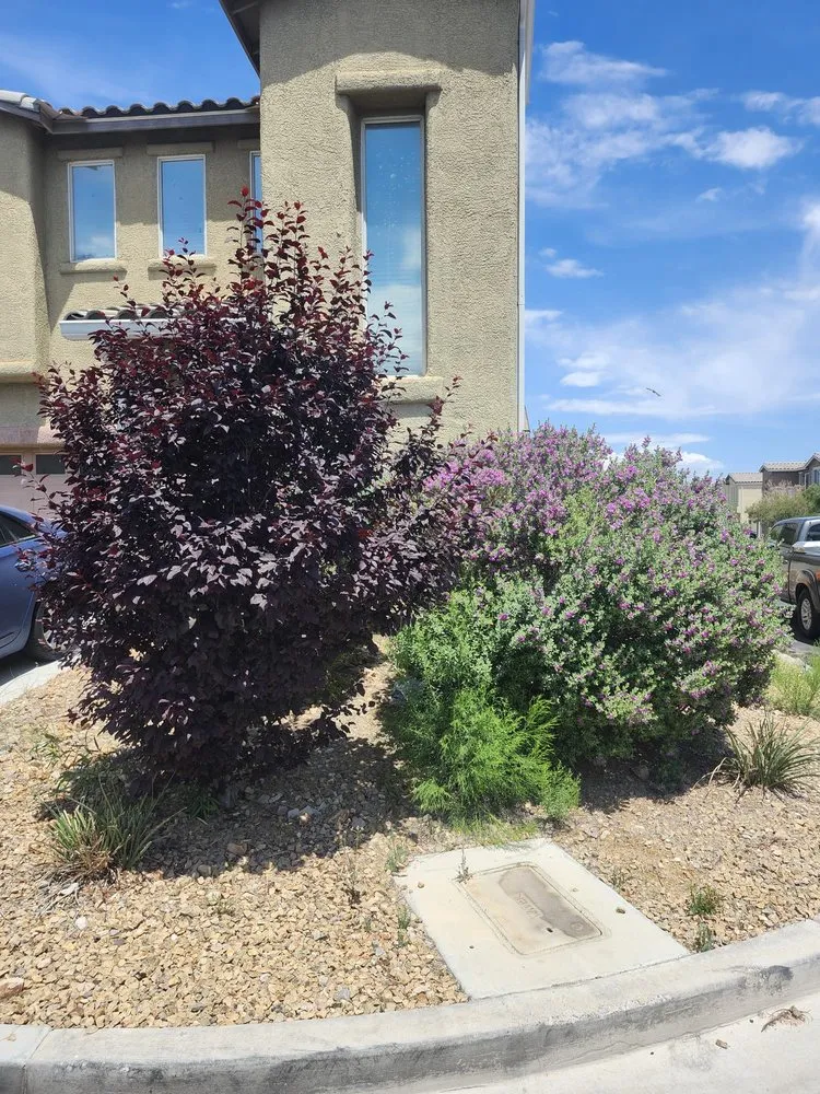 Slide of AV Landscape